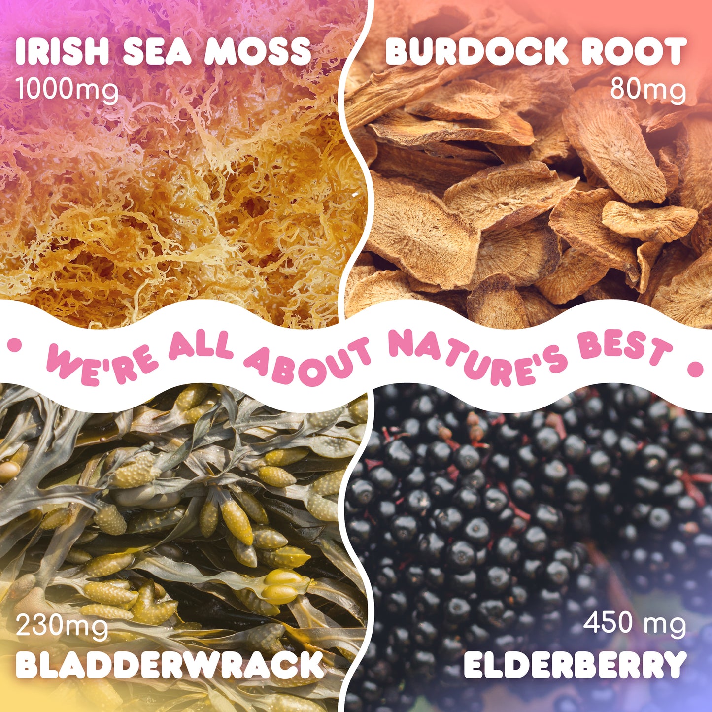 ELDERBERRY SEA MOSS GUMMIES