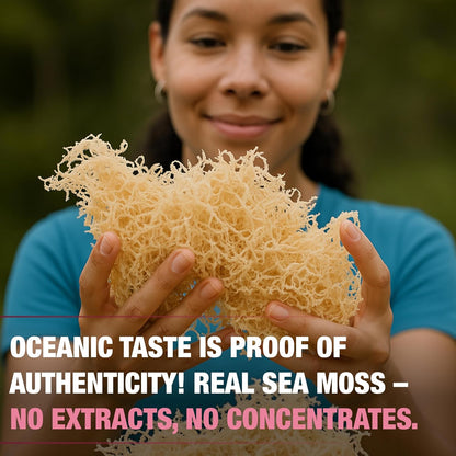 Person holding a large dry sea moss with text about oceanic taste and authenticity.