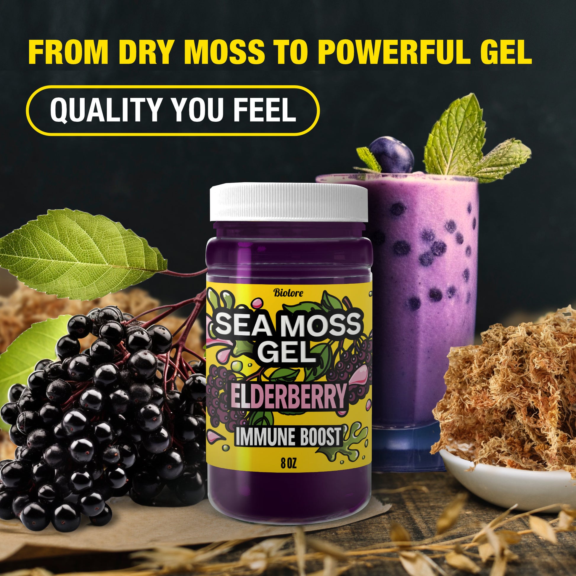 Biolore elderberry sea moss gel jar with fresh elderberries smoothie and raw sea moss highlighting immune support and natural quality.