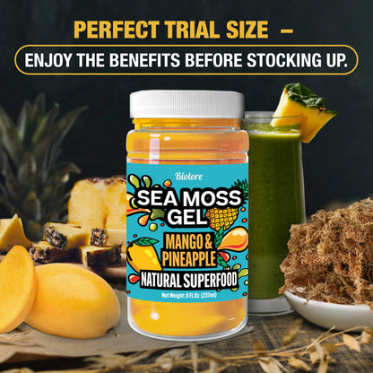 Biolore mango and pineapple sea moss gel trial size jar with fresh fruits smoothie and raw sea moss highlighting try before you stock up.