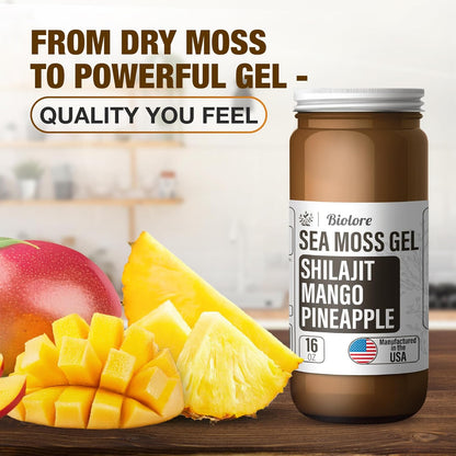 Biolore sea moss gel with shilajit mango pineapple flavor shown with fresh mango and pineapple pieces.