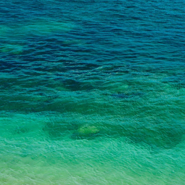 ocean-water-with-sea-moss