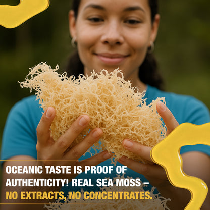 Woman holding raw sea moss highlighting authenticity with no extracts or concentrates and natural ocean sourced quality.